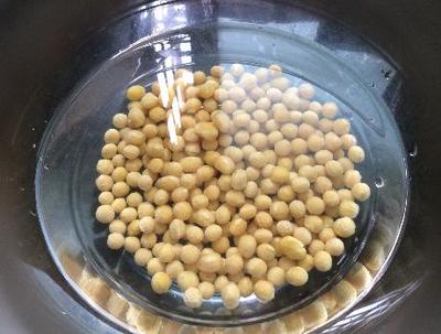 豆腐脑豆子和水的比例