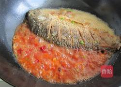 番茄鲤鱼的做法