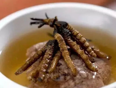 虫草煲汤