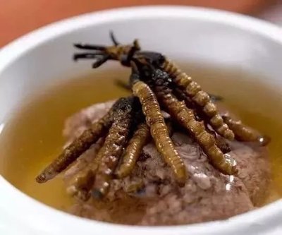 虫草煲汤
