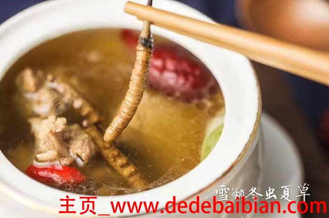 虫草煲汤