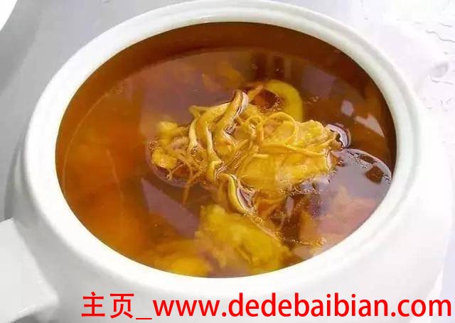 虫草煲汤