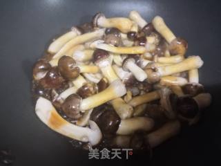 松茸菇的做法