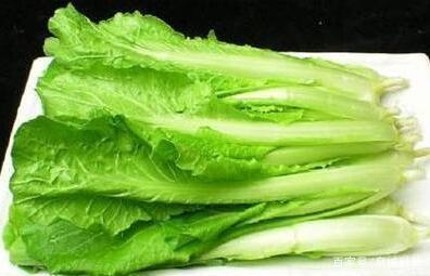 油白菜的功效与作用