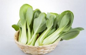 油白菜的功效与作用