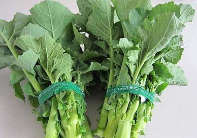 油白菜的功效与作用