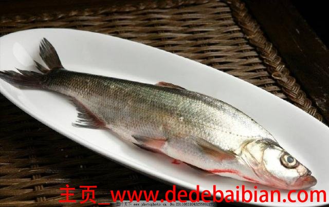 白丝鱼怎么做好吃