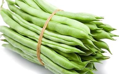四季豆和豆角的区别