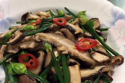 韭菜香菇可以一起吃吗