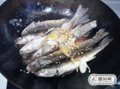 梭鱼的家常做法