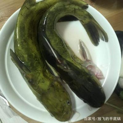 酱炖嘎鱼的做法