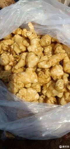 洋姜咸菜的腌制方法