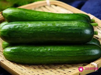 小黄瓜的功效与作用
