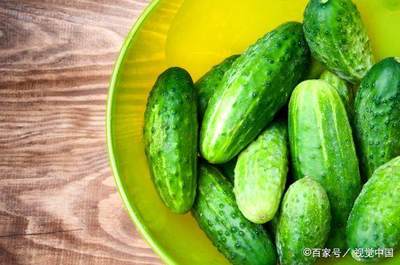 小黄瓜的功效与作用