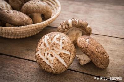 孕妇能吃香菇