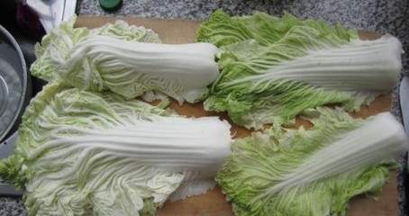 白菜做酸菜怎么做