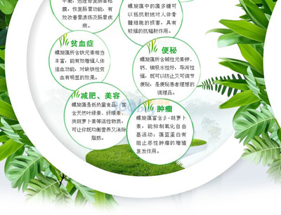 螺旋藻的营养价值