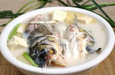 花鲢鱼头炖豆腐