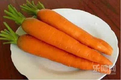 胡萝卜不能和什么同食