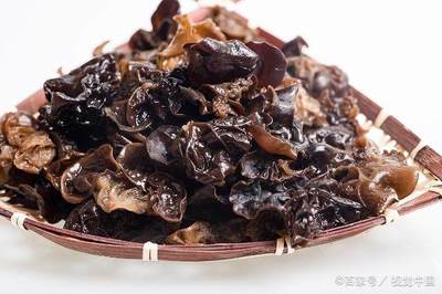 木耳能和黄豆一起吃吗
