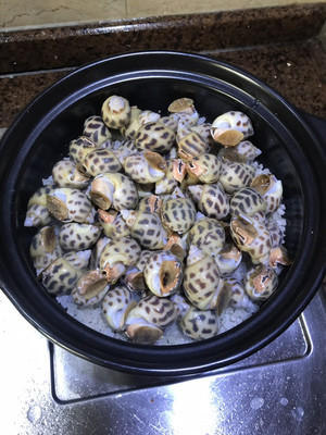 盐焗海螺的做法大全