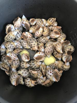 盐焗海螺的做法大全