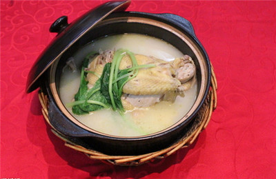 怀孕能喝鸡汤吗