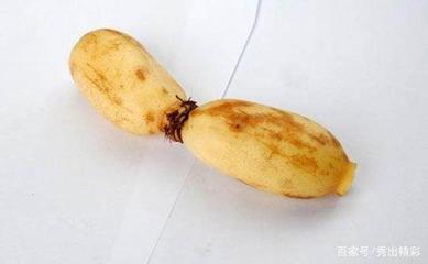 土豆吃了长胖吗