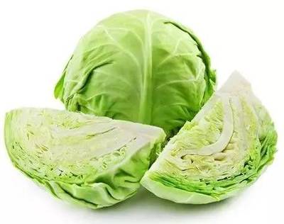 包菜是洋白菜吗
