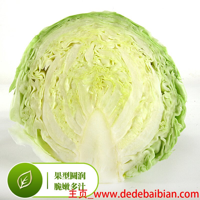 包菜是洋白菜吗