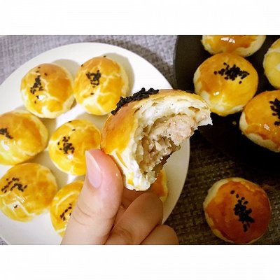 鲜肉月饼的做法大全