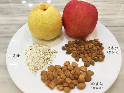 南杏仁煲汤的做法大全