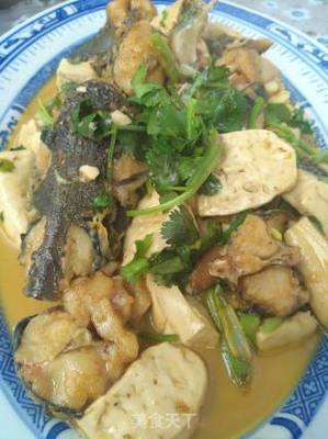 鱼焖豆腐的做法