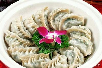什么菜可以包饺子