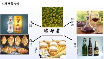 面包 酵母