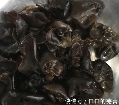茴香和木耳能一起吃吗