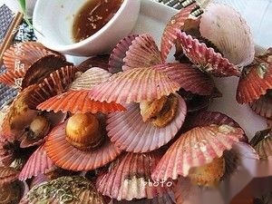 小扇贝的做法