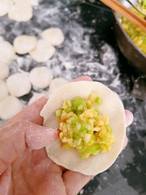 西葫芦鸡蛋馅饺子的做法