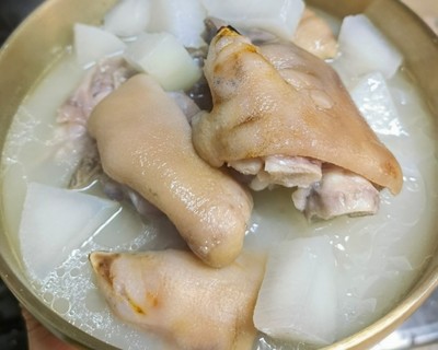 白萝卜炖猪蹄