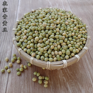 青黄豆可以打豆浆吗