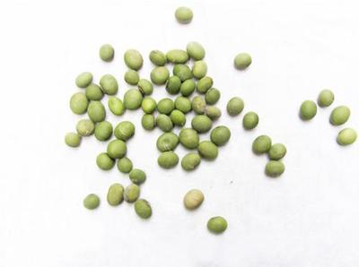 青黄豆可以打豆浆吗