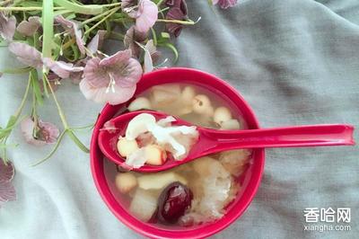 家常糖水做法大全菜谱