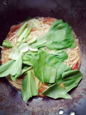 青菜面条的做法大全