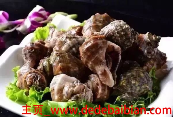 海螺水煮多长时间