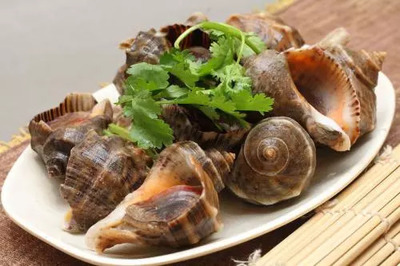 海螺水煮多长时间