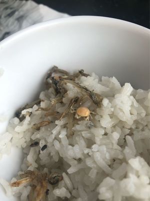 螃蟹稀饭