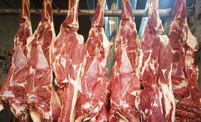 绵羊肉和山羊肉