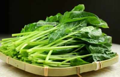 韭菜 热量