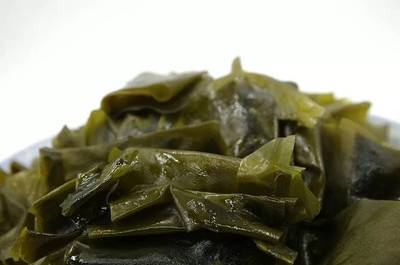 海白菜的营养价值