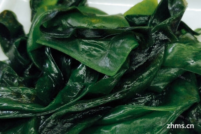 海白菜的营养价值
